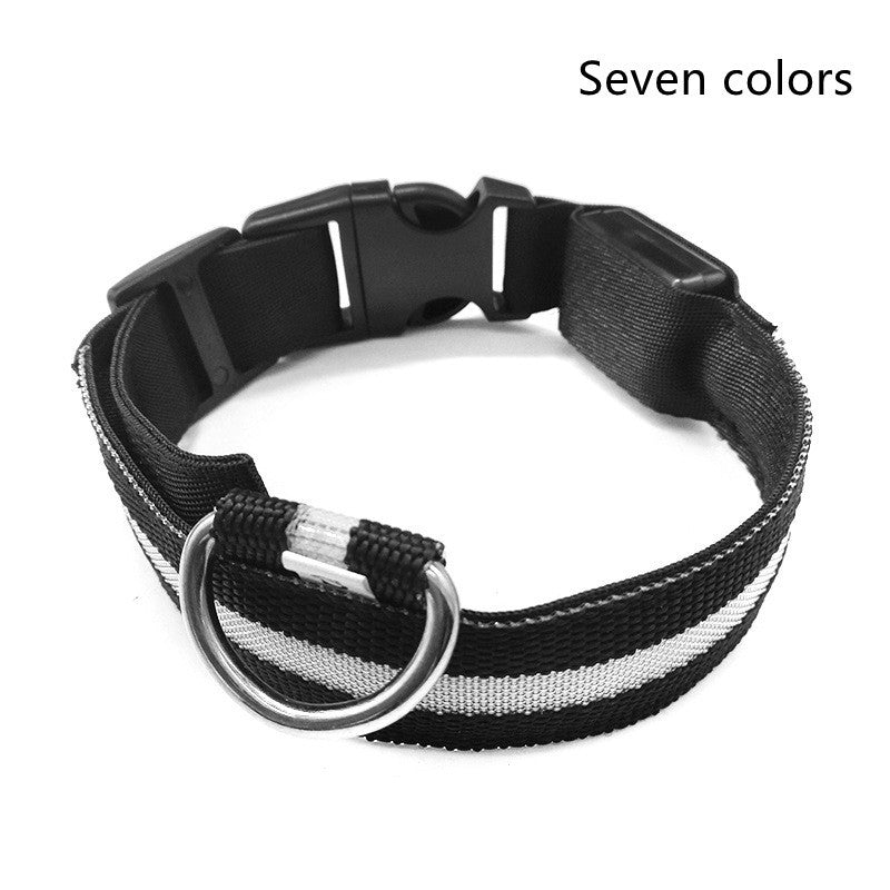 LED Pet Dog Luminous Collar Glow in Dark