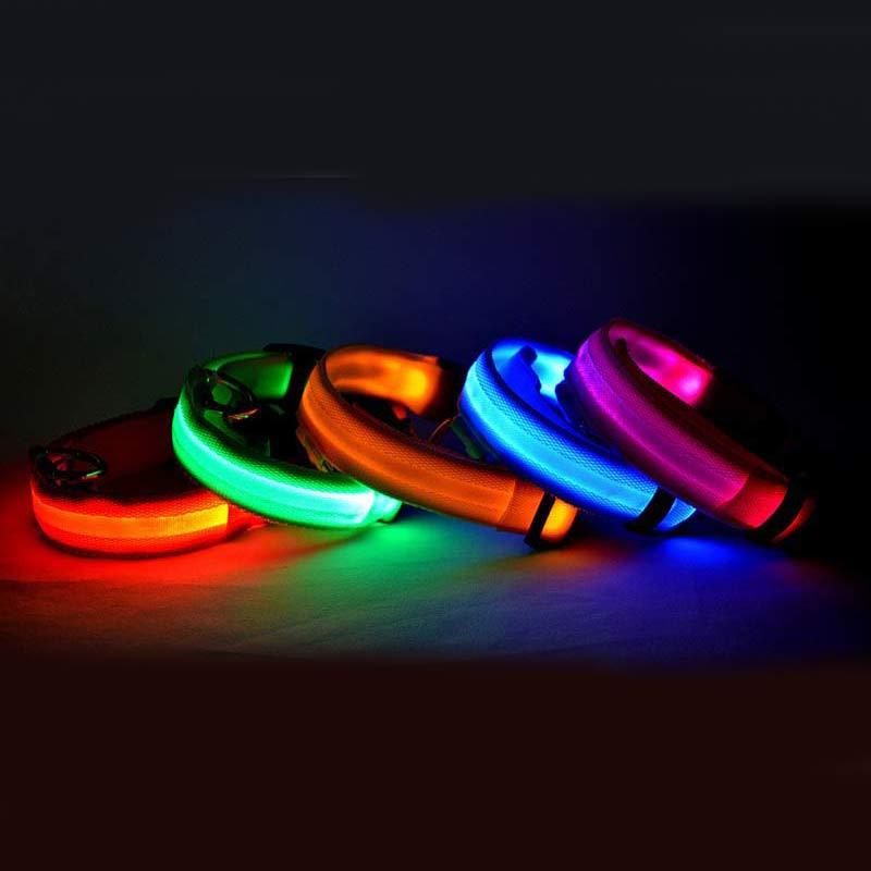 LED Pet Dog Luminous Collar Glow in Dark
