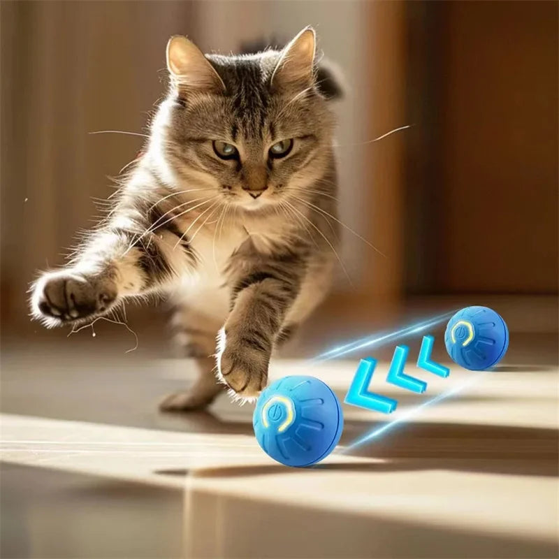 Dog Cat Interactive Moving Ball Toy