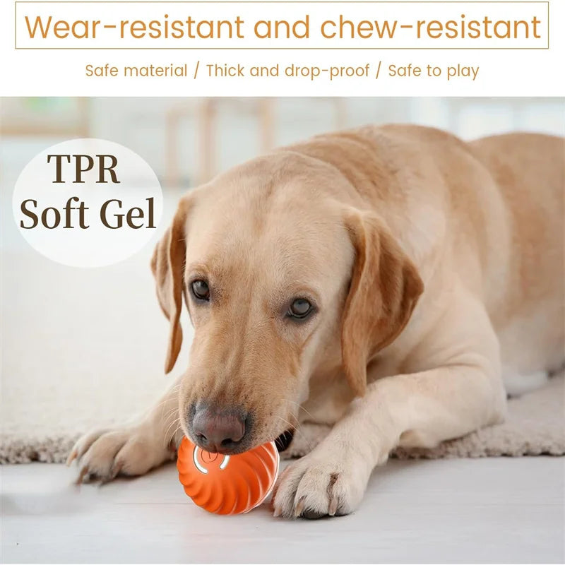 Dog Cat Interactive Moving Ball Toy