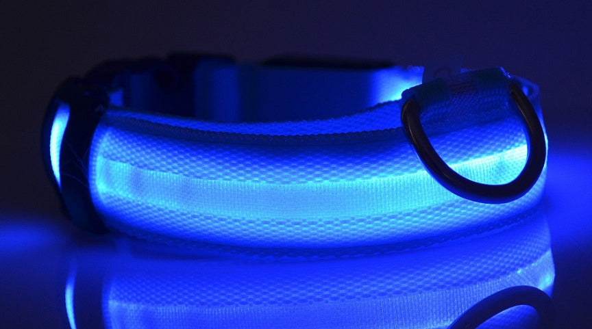 LED Pet Dog Luminous Collar Glow in Dark
