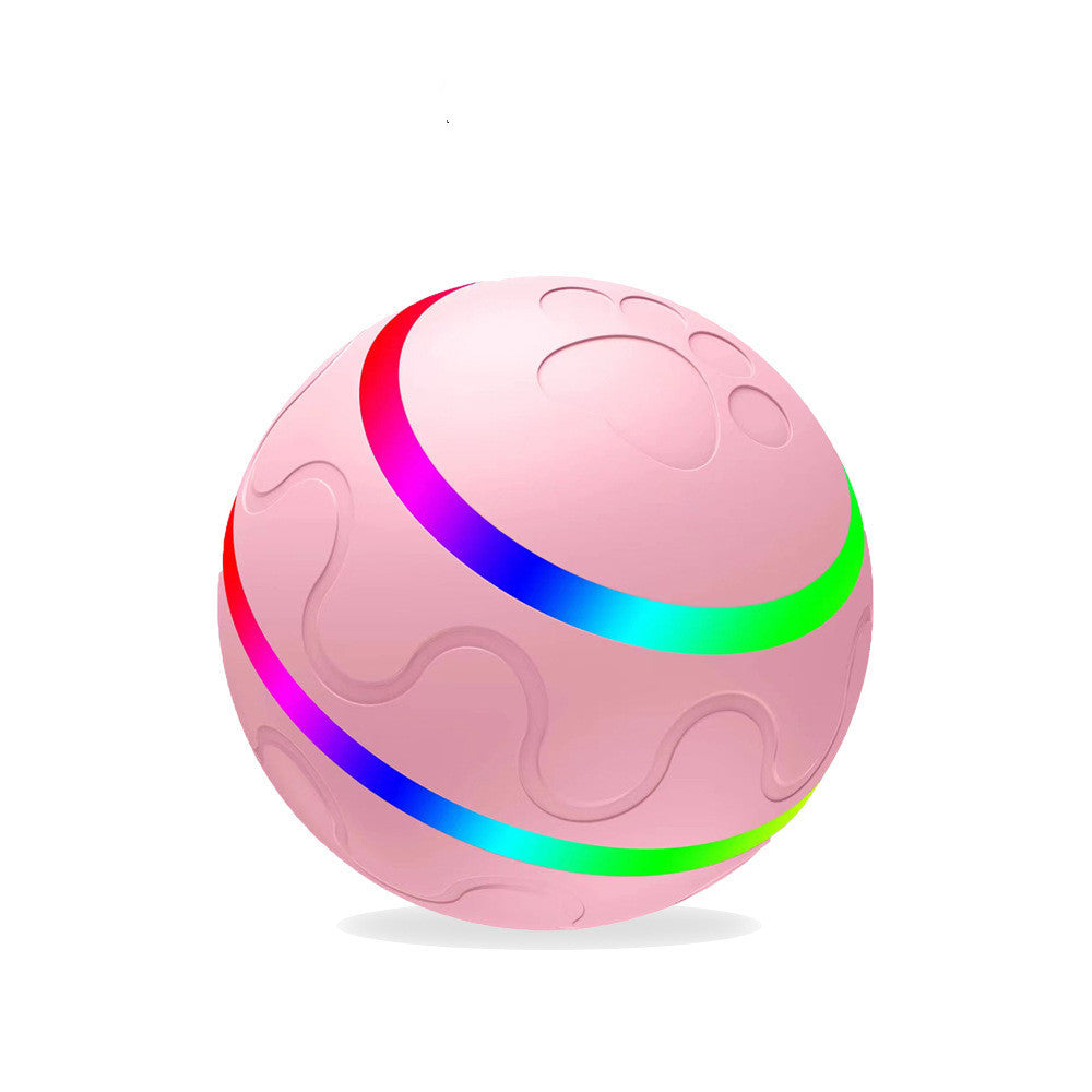 Cat Wicked Ball Dog Toys