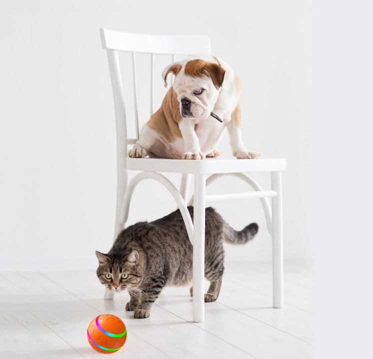 Cat Wicked Ball Dog Toys