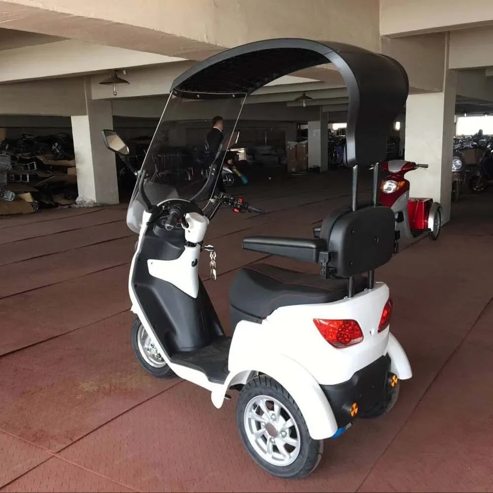 3 Wheels Premium Electric Scooter 500W with Canopy