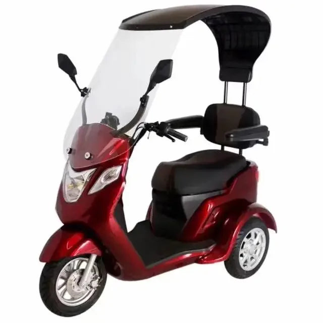 3 Wheels Premium Electric Scooter 500W with Canopy