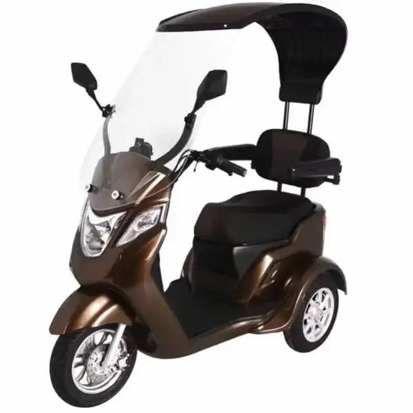 3 Wheels Premium Electric Scooter 500W with Canopy