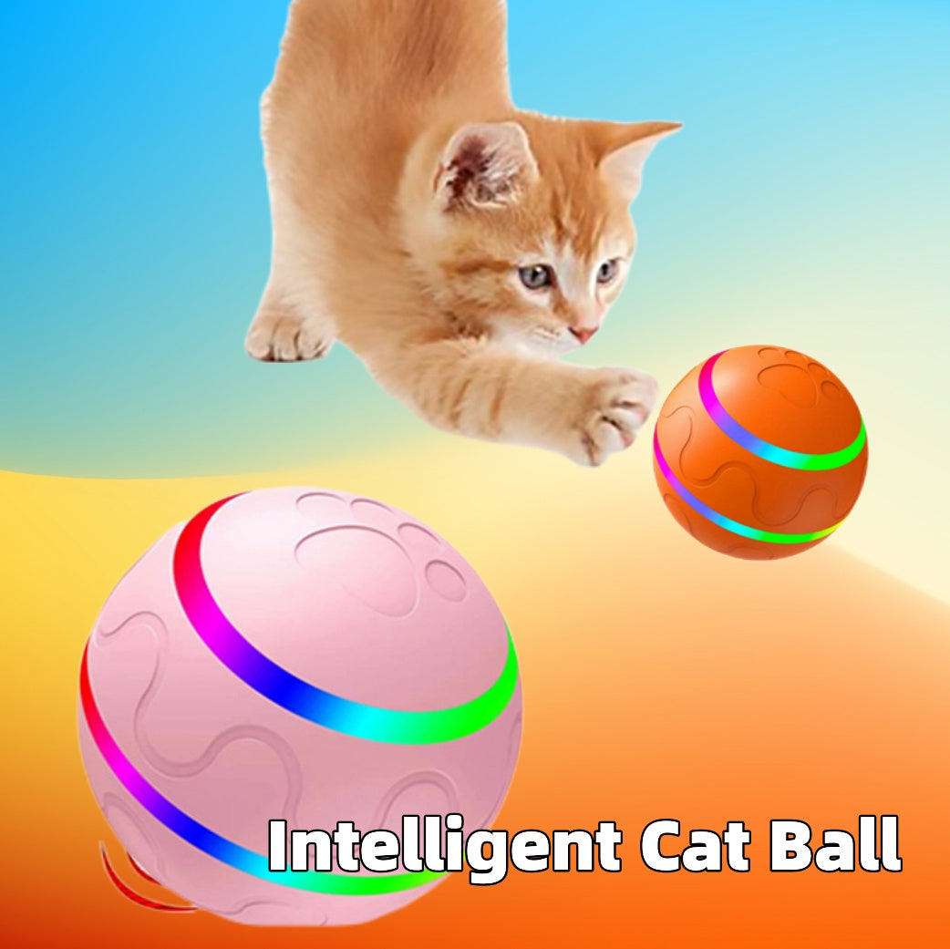 Cat Wicked Ball Dog Toys