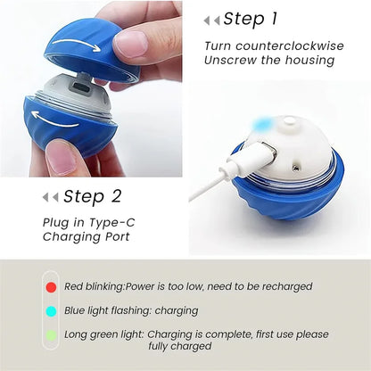 Dog Cat Interactive Moving Ball Toy