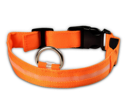 LED Pet Dog Luminous Collar Glow in Dark