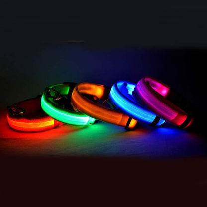 LED Pet Dog Luminous Collar Glow in Dark