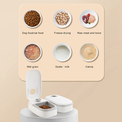 Automatic Dog Cat Pet Feeder Food Dispenser