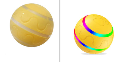 Cat Wicked Ball Dog Toys