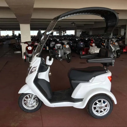 3 Wheels Premium Electric Scooter 500W with Canopy