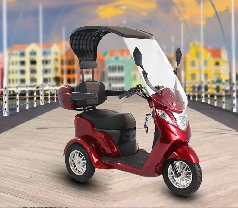 3 Wheels Premium Electric Scooter 500W with Canopy